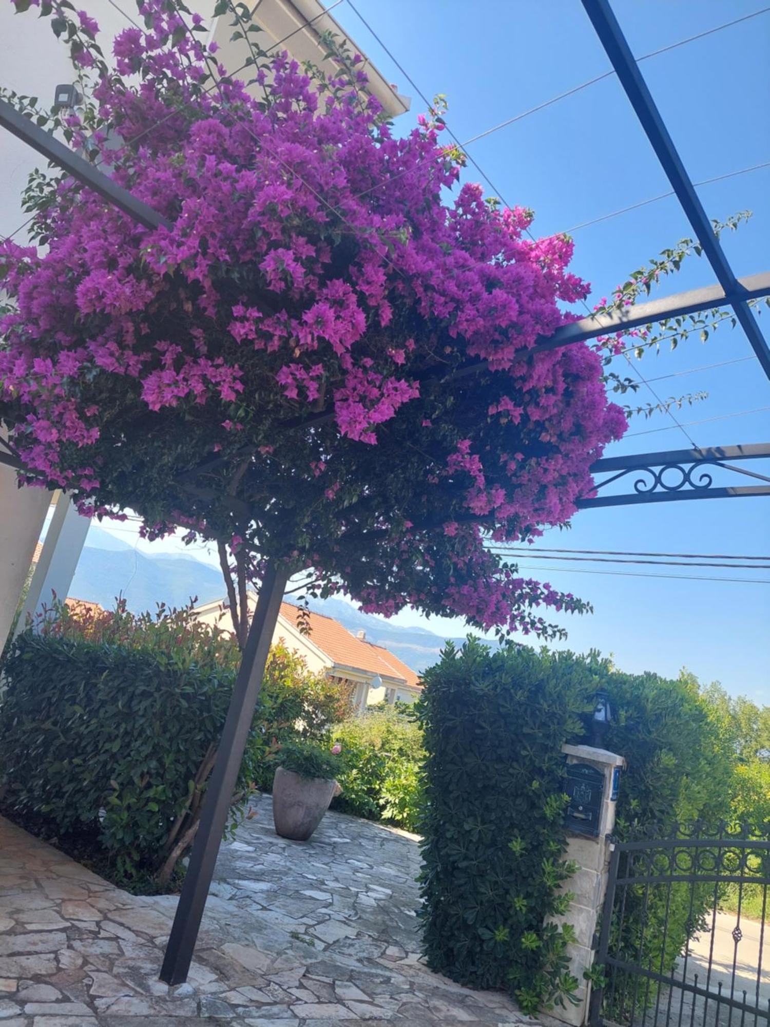 Kjara Apartments Tivat Zewnętrze zdjęcie