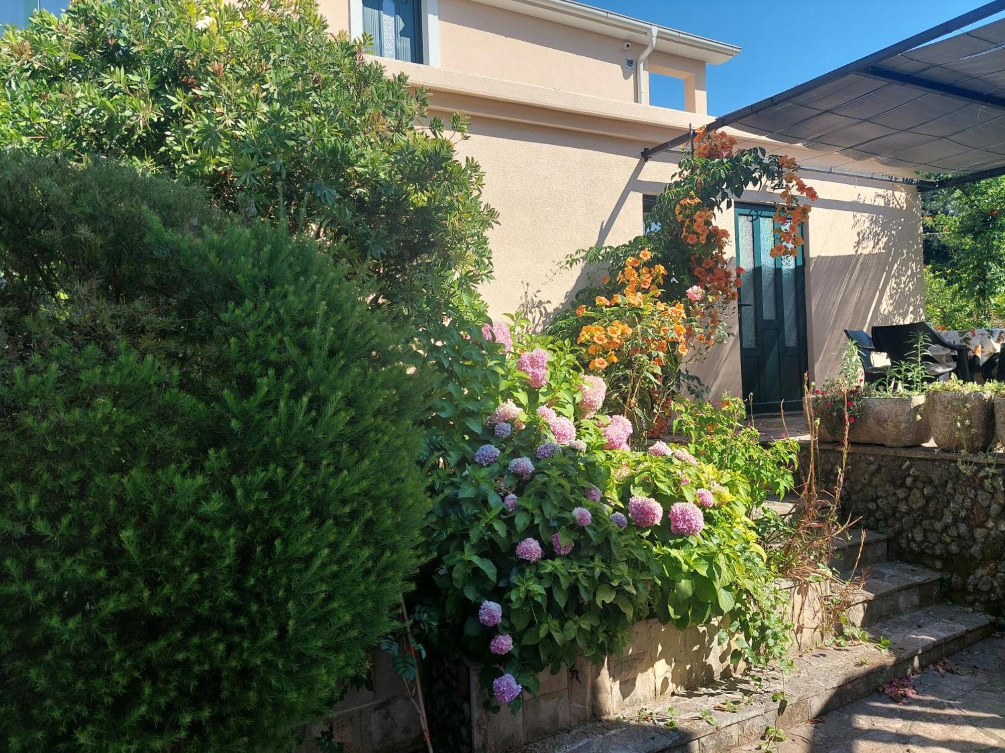 Kjara Apartments Tivat Zewnętrze zdjęcie