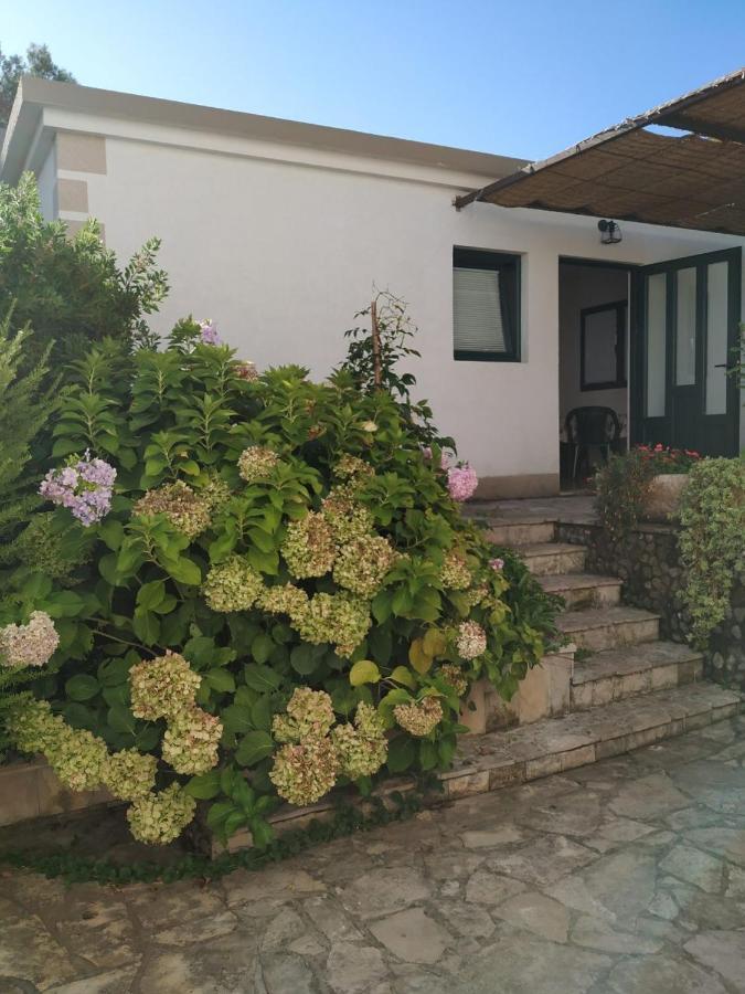Kjara Apartments Tivat Zewnętrze zdjęcie