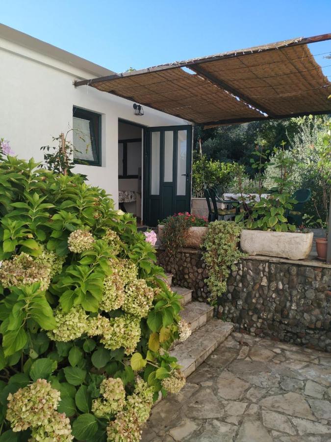 Kjara Apartments Tivat Zewnętrze zdjęcie